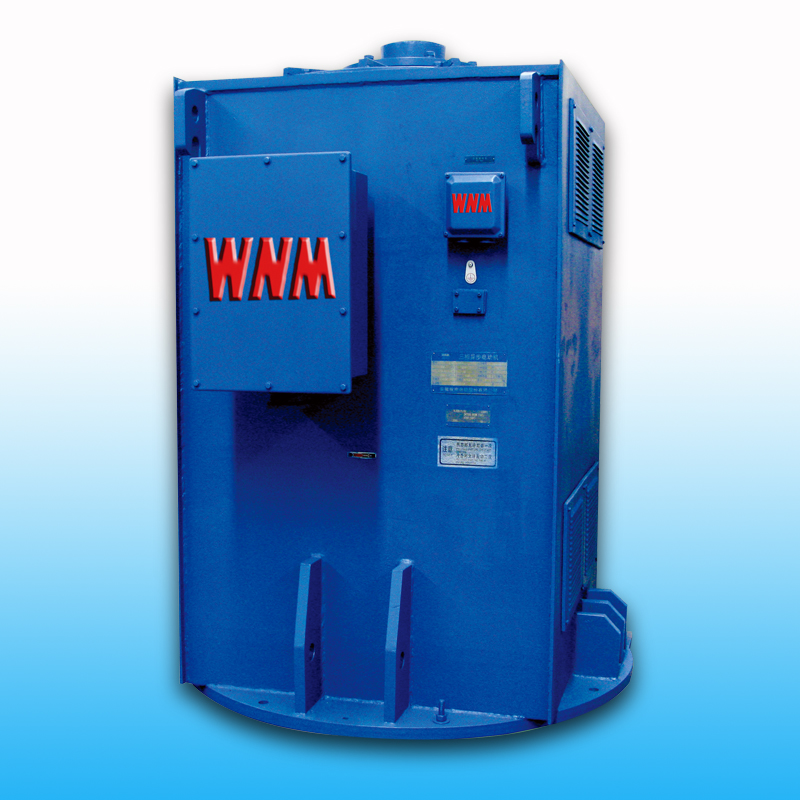 【高效】YL、YLKK系列立式電機（6KV/10KV）